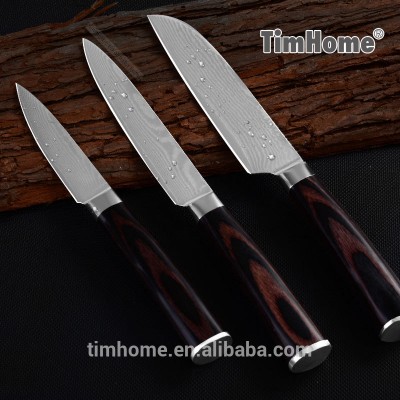 Damascus stainless steel fruit knife set pakka wood handle for chef kitchen using